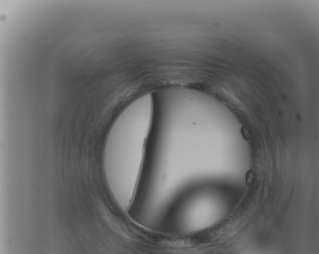 X0000062920639200601202002