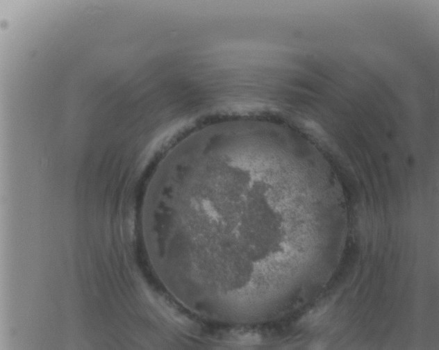 X0000062920640200601202002