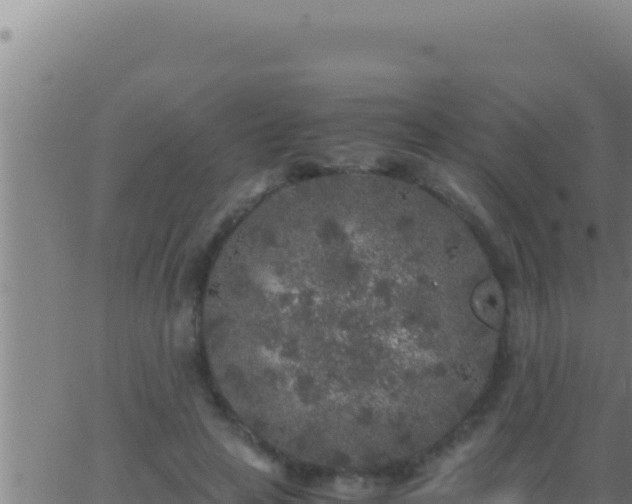 X0000062920641200601202002