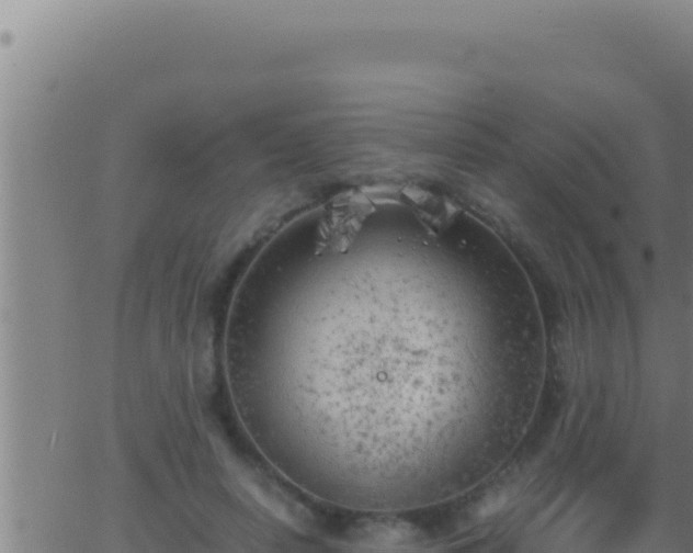 X0000062920642200601202002