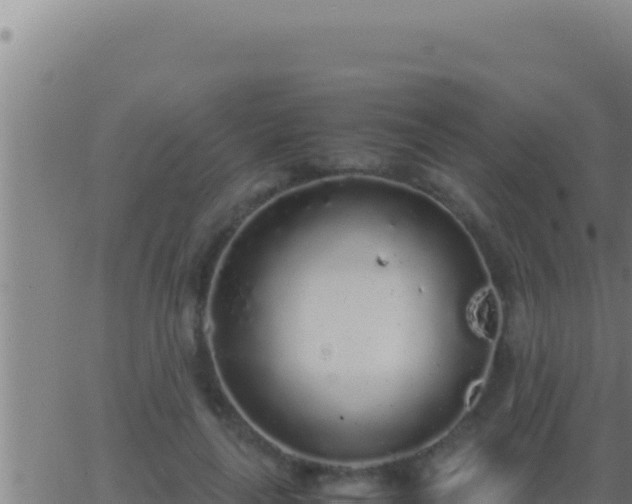 X0000062920643200601202002