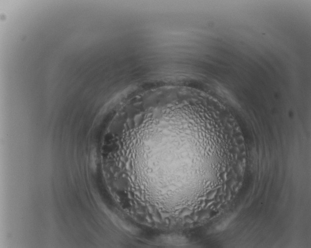 X0000062920644200601202002