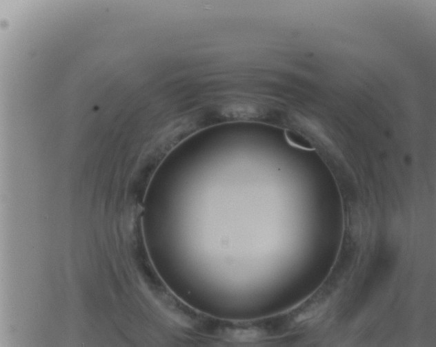 X0000062920645200601202002