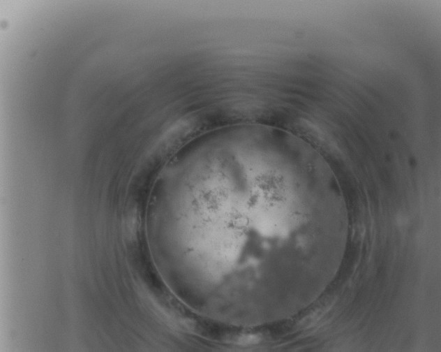 X0000062920647200601202003