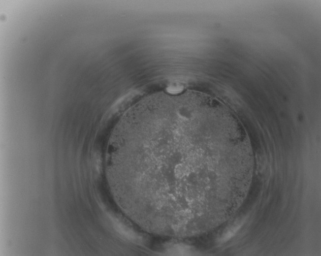 X0000062920648200601202003