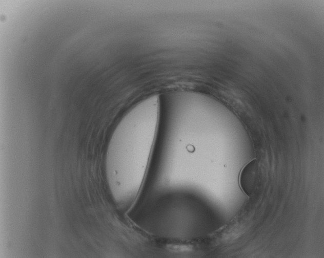 X0000062920649200601202003