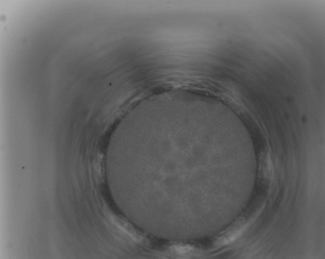 X0000062920650200601202003