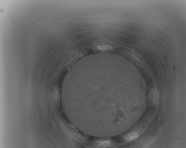 X0000062920651200601202003