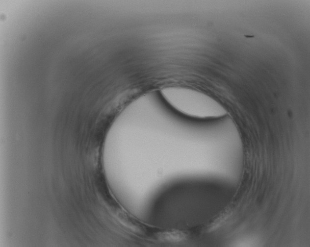 X0000062920652200601202003