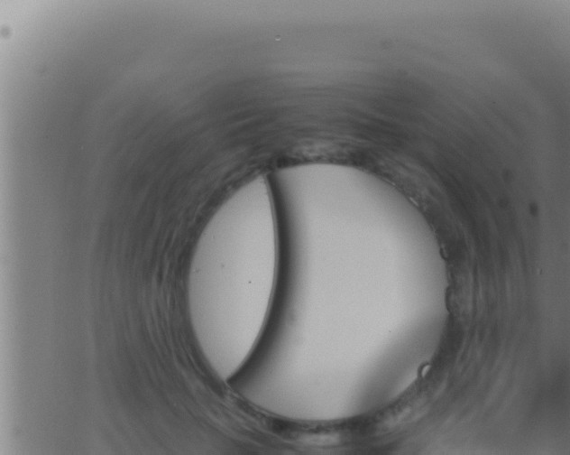 X0000062920653200601202003