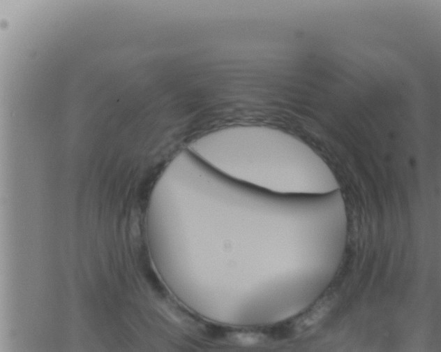 X0000062920654200601202003