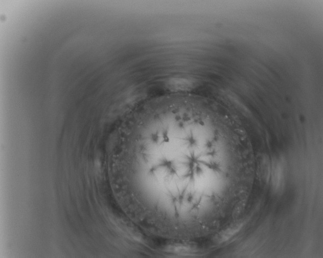 X0000062920655200601202003