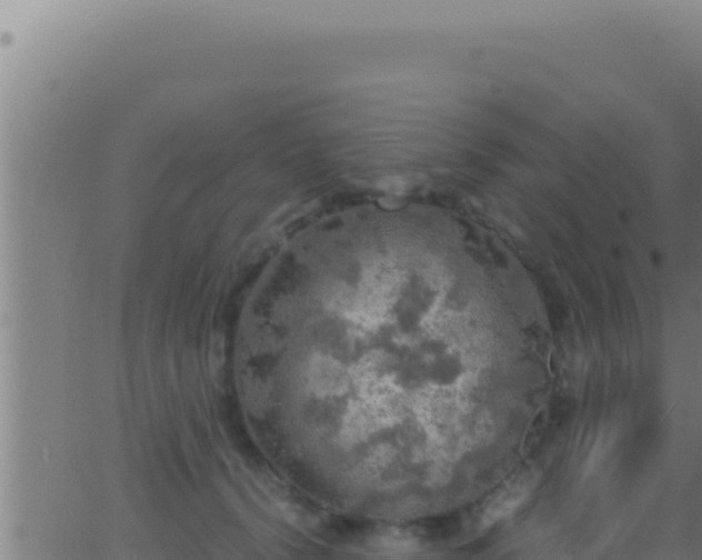 X0000062920656200601202003