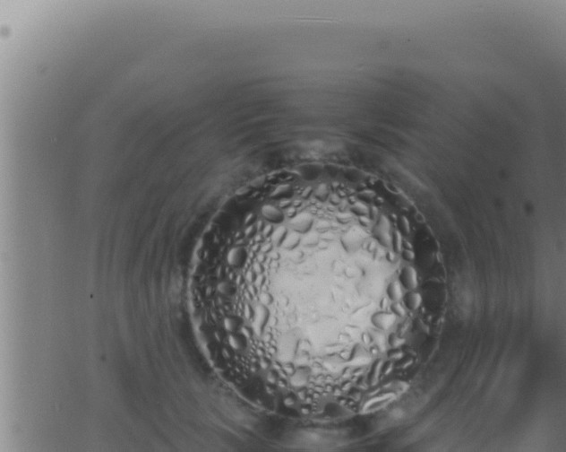 X0000062920657200601202003