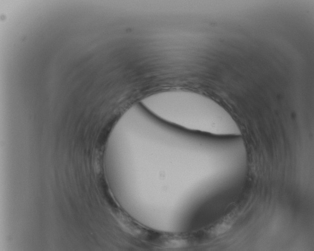 X0000062920658200601202003