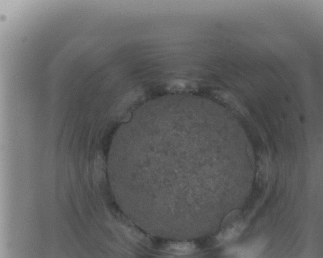 X0000062920659200601202003