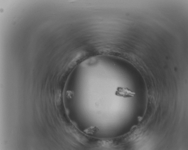 X0000062920660200601202003