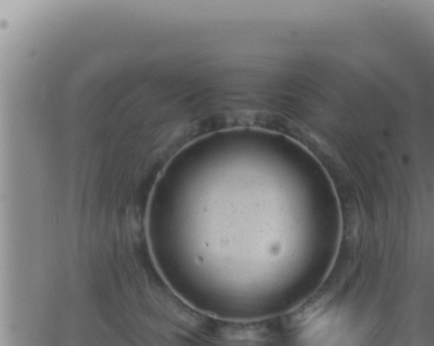 X0000062920661200601202003