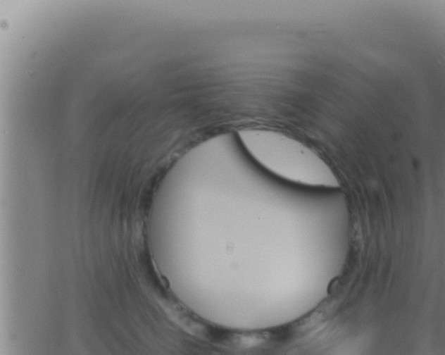 X0000062920662200601202003