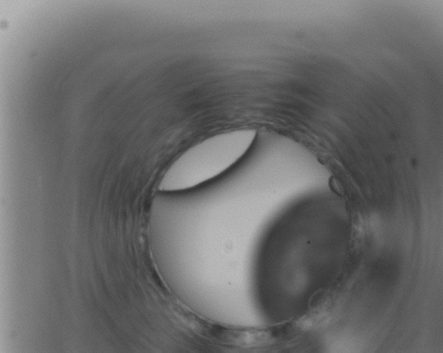 X0000062920663200601202003