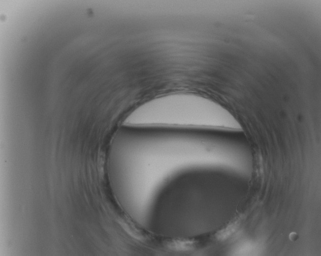 X0000062920664200601202003