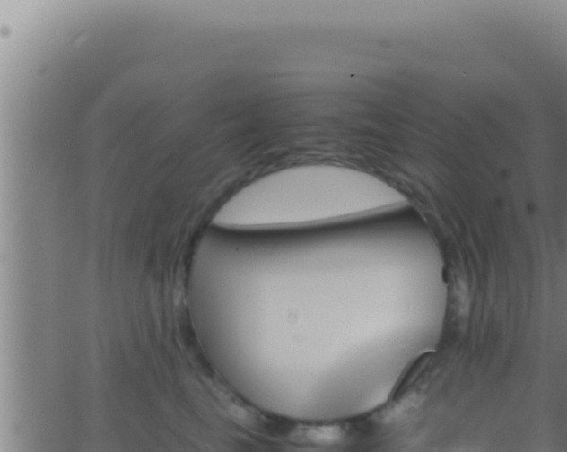 X0000062920665200601202003