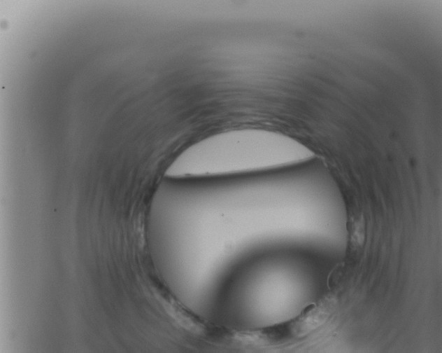 X0000062920666200601202003