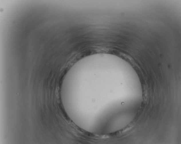 X0000062920667200601202003