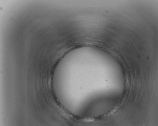 X0000062920668200601202003