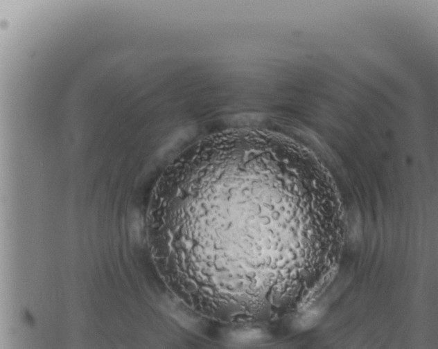 X0000062920669200601202003