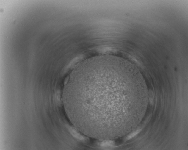 X0000062920670200601202003