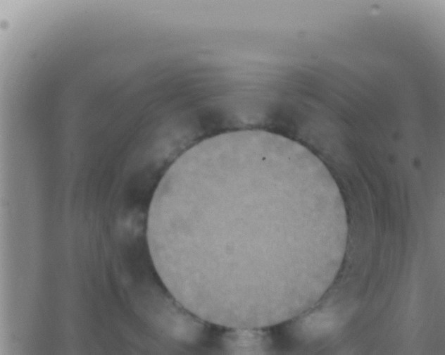 X0000062920672200601202003