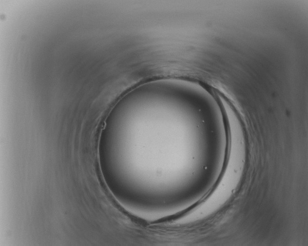 X0000062920673200601202002