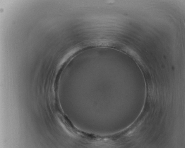 X0000062920674200601202002