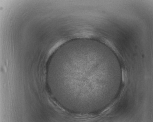 X0000062920675200601202002