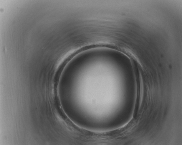 X0000062920676200601202002