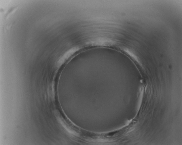 X0000062920678200601202002