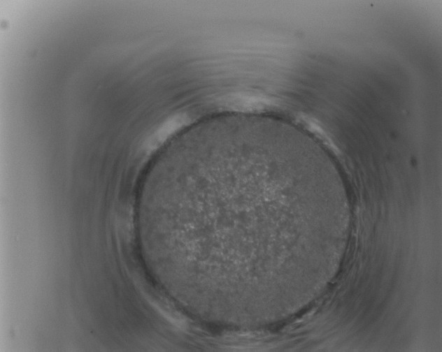 X0000062920679200601202002