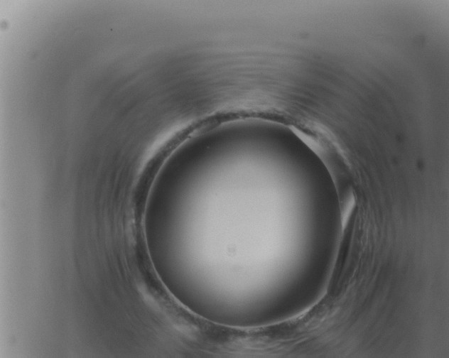 X0000062920680200601202002