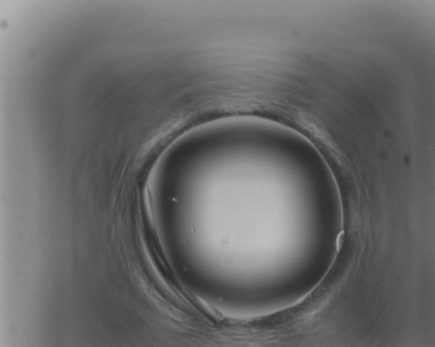 X0000062920681200601202002