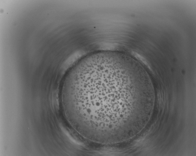 X0000062920682200601202002