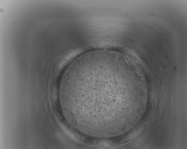 X0000062920683200601202002