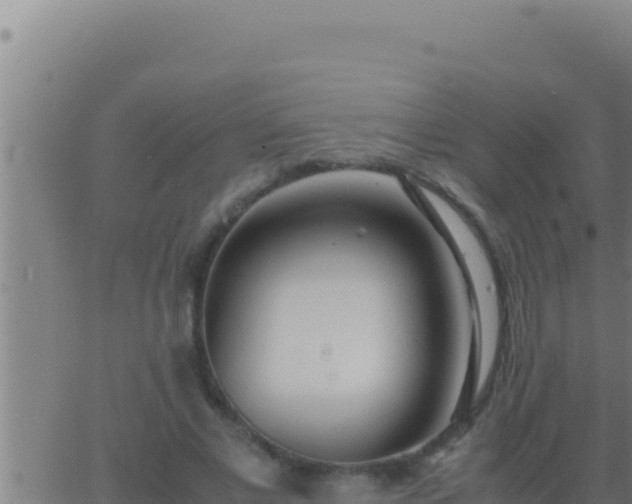 X0000062920685200601202002