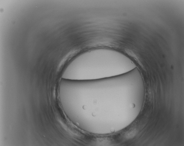 X0000062920686200601202002