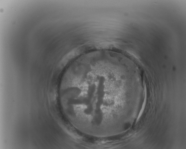 X0000062920687200601202002