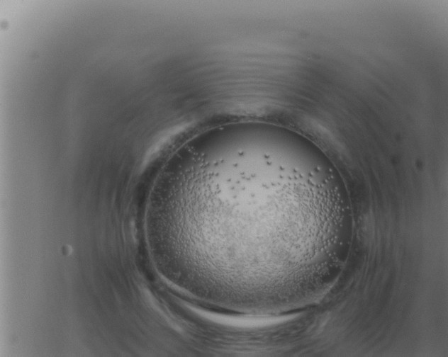 X0000062920688200601202002