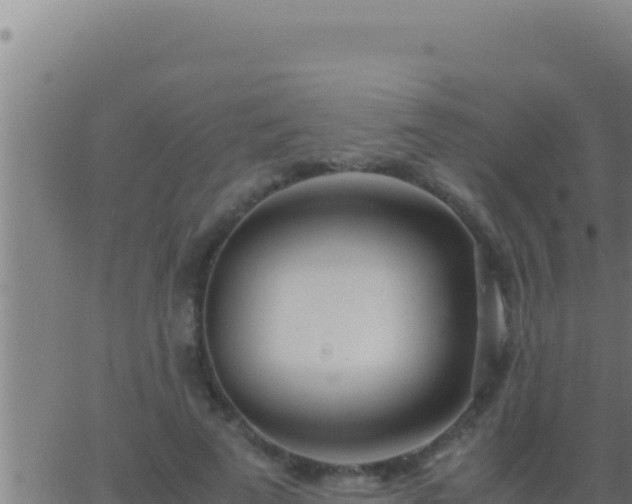 X0000062920689200601202002