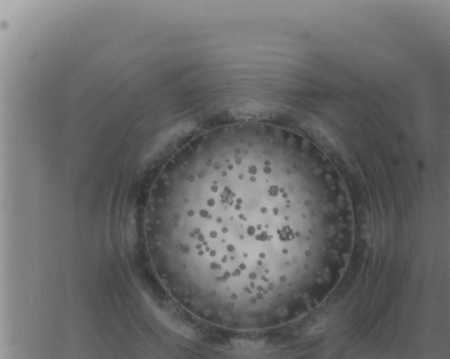 X0000062920690200601202002