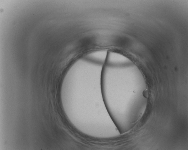 X0000062920691200601202002