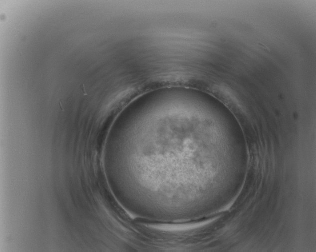 X0000062920692200601202002